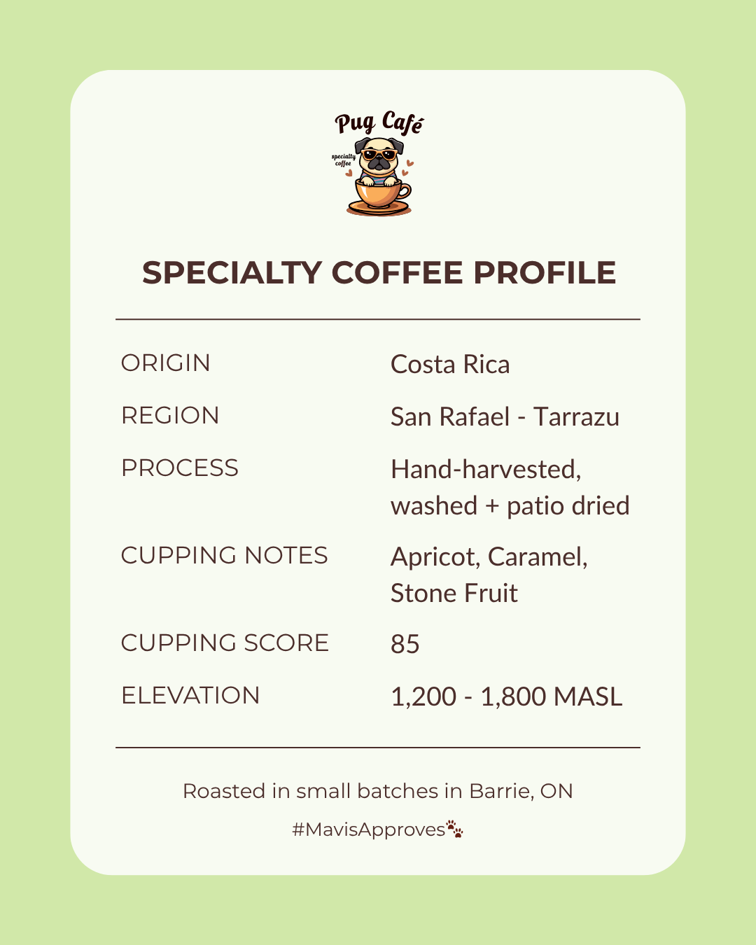 Costa Rica - Special Reserve (16 oz)